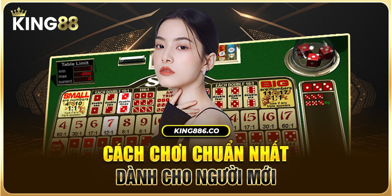 Cách chơi chuẩn nhất dành cho người mới